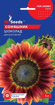 Насіння Соняшник Шоколад 1г GL Seeds