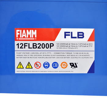 Тягова акумуляторна батарея AGM FIAMM high performance 12V 55Ah (12FLB200P)