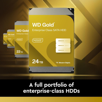 WD Жорсткий диск 6TB 3.5" 7200 256MB SATA Gold