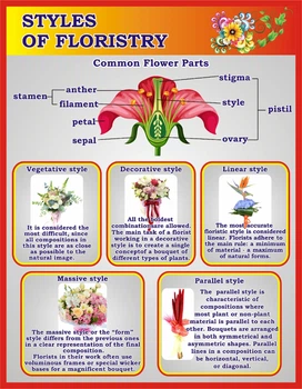 Стенд «Styles of floristry» для кабінету англійської мови 700мм×900мм (Арт1943)