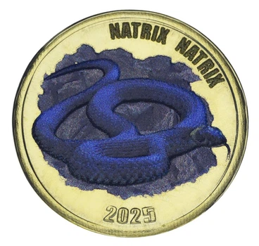 Монета Острів Чілое 2 фунти 2025 UNC Чилі Рептилія - Змія - Уж