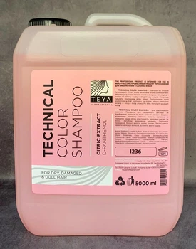 Шампунь Teya Technical COLOR Shampoo для фарбованого волосся 5 л