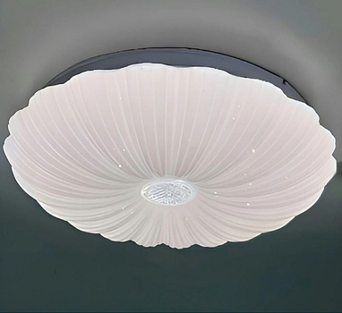 LED світильник BIOM 18W стельовий накладний 6200K (DL-R605-18-6) без Д/У, коло білий, ЗОРЯНЕ НЕБО