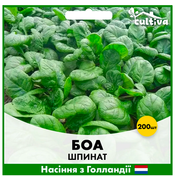 Голландське Насіння Rijk Zwaan Шпинат Боа, 200 шт