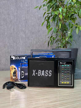 Радиоприемник Golon RX-177 LED с фонариком / радио колонка MP3 с USB и аккумулятором и батарейками