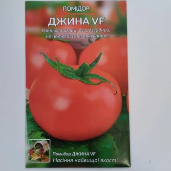 Томат "Джина VF"