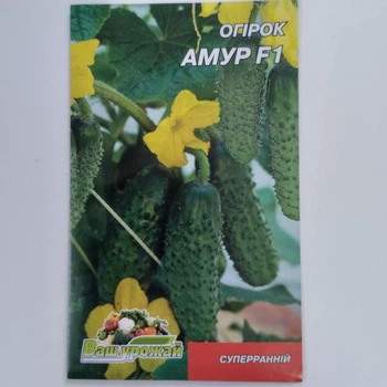 Огурец "Амур F1"