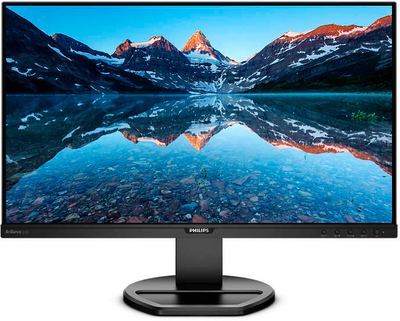 Монітор 25" Philips 252B9 (252B9/00)