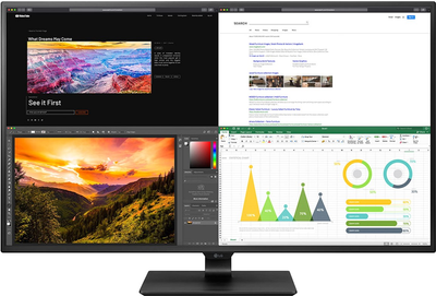Монитор 42.5" LG 43UN700P-B