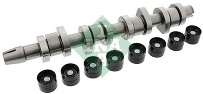 Комплект розподільного валу Ina VW Caddy III 1.9TDI (BJB,BLS) 77kw 04-/VW T5 1.9TDI (AXC,AXB) 63/77kw, 03- (428 0042 30)