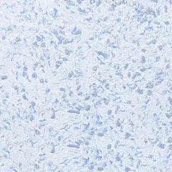 Макс-Колор Рідкі шпалери №842 (жо2292)