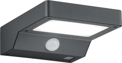 Наружный настенный светильник REALITY FOMOSA 1xSMD LED 4.8W 3000K с датчиком движения (R22281142)