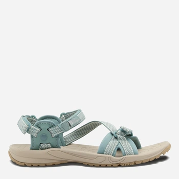 Жіночі сандалії Jack Wolfskin Lakewood Ride Sandal W 4019041-E0180 40.5 (7UK) 25.5 см Блакитні (4064886444910)