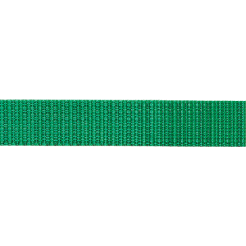 Стропа Beal Flat Tape Unie 26 мм x1 м (1046-BSP26UNI.100.G)