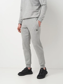 Спортивні штани чоловічі Calvin Klein Jeans 11432.4 L Сірі (ROZ6501094043)