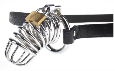 Пояс вірності Fetish Fantasy Extreme Extreme Chastity Belt (16054000000000000)