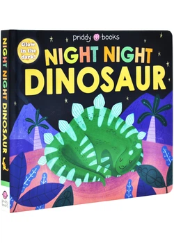 Night Night Dinosaur
