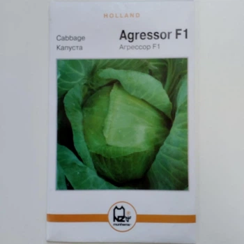 Капуста" Агрессор F1 " Голландия 1 гр