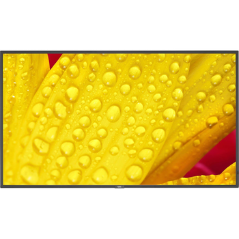 Монітор 54.6" NEC ME551 UHD IPS 60Hz (60005057)