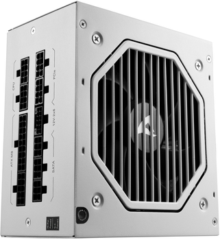 Блок питания Sharkoon Rebel P20 ATX 3.1 1000W (4044951042425)