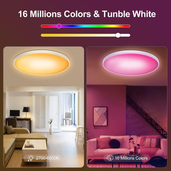 Умный потолочный RGB светильник Intelligent Ceiling Lamp 30 см 24W / Cветодиодная люстра с пультом и поддержкой умного дома Wi Fi Bluetooth