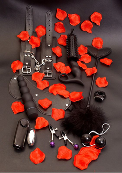 Секс-набор Amazing Pleasure Sex Toy Kit (13014000000000000)