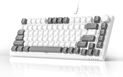 Клавиатура AJAZZ AK820 Grey-White Игровая Проводная Механическая. Белая Подсветка. С Поддержкой HOT-SWAP. Red Switch