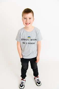 Дитяча патріотична футболка для хлопчика "Ми з України" Прапор з вишивкою 39236 фулікра 110см сірий меланж (3609234110)