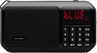 Радиоприемник GoGEN FMP 125 BTB Черный (GOG-FMP125BTB)