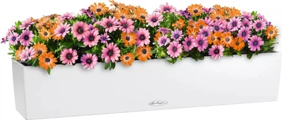 Вазон Lechuza Balconera Color 100 99 x 19 x 19 см Білий (15919-4008789159199)