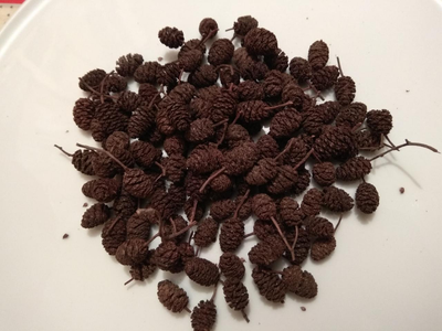 Вільхи (шишки), 100г.