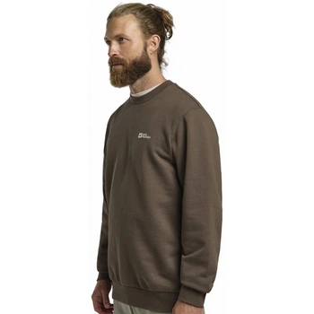 Світшот ESSENTIAL CREWNECK M Jack Wolfskin A63843_5719 56-58 Коричневий (4064886463737)