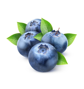 Ягодная паста LiQberry Черника 0.1 кг (4820162710274)