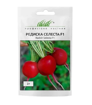 Редис Селеста F1 Enza Zaden/Нидерланды 2 г