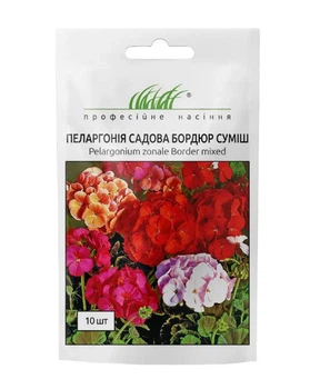 Пеларгония садовая Бордюр F1 Hem Genetics/Нидерланды 10 шт