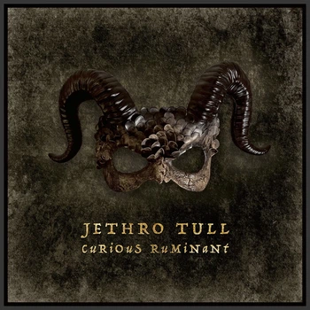 Виниловая пластинка Jethro Tull - Curious Ruminant