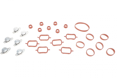 Ремкомплект колектора впускного BMW 3 E46/E90/5 E39/E60/X5 E53/E70 3.0d M47 98-11 GZ-A2136 GAZO
