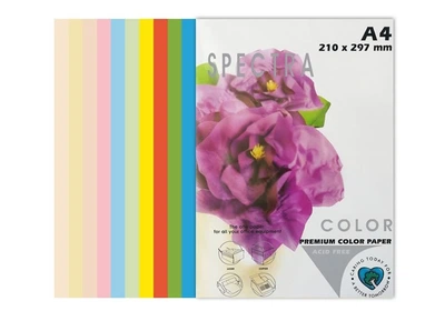 Бумага цветная Spectra Color А4 80 г/м² 100 листов, набор 10 цветов (6 пастель и 4 интенсив по 10 л.)