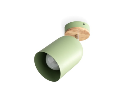 Потолочный светильник Fluo Green (Scandi Collection)