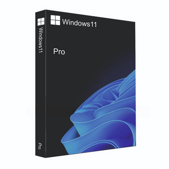 Операційна системи Windows 11 Professional 32/64-BIT USB BOX (HAV-00162)