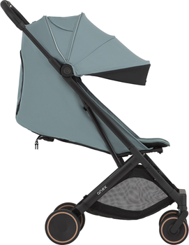 Прогулочная коляска Anex Air-X2 Sky (Ax2-05)