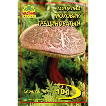 Мицелий грибов Насіння країни Моховик трещиноватый пестрый 10 г
