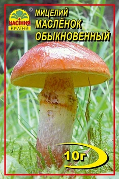 Мицелий грибов Насіння країни Масленок 10 г