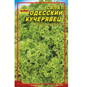 Семена Насіння країни салата Одесский кучерявец 10 г