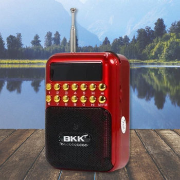 Радиоприемник BKK мини портативное радио с разъемом для наушников SD TF карт USB флешки