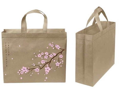 Еко сумка ECOBAG бокс з друком Сакура із замком 320х270х100мм 400мм