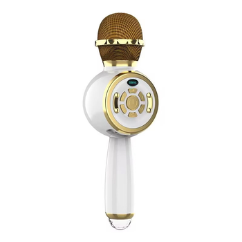 Караоке Микрофон-колонка DS810 Gold