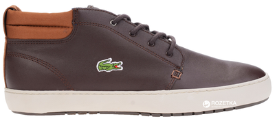 Lacoste ampthill shop terra 317 1