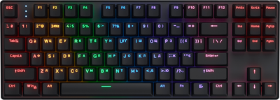 Клавиатура беспроводная Hator Icefall Mecha TKL Rainbow Wireless/USB Black (HTK287UA)