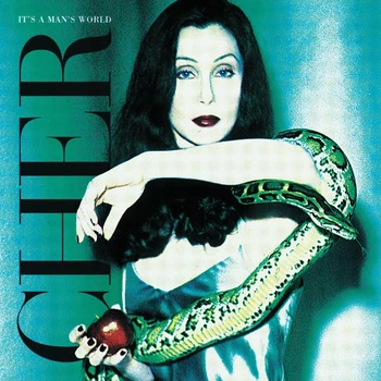 Виниловая пластинка Cher It's a Man's World